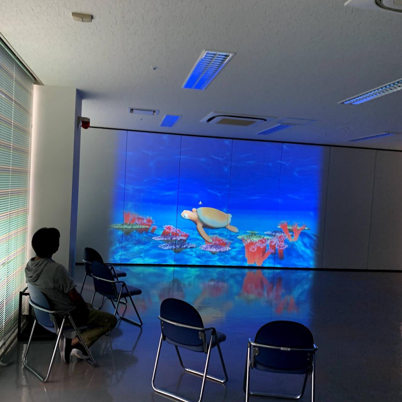 プロジェクションマッピング体験